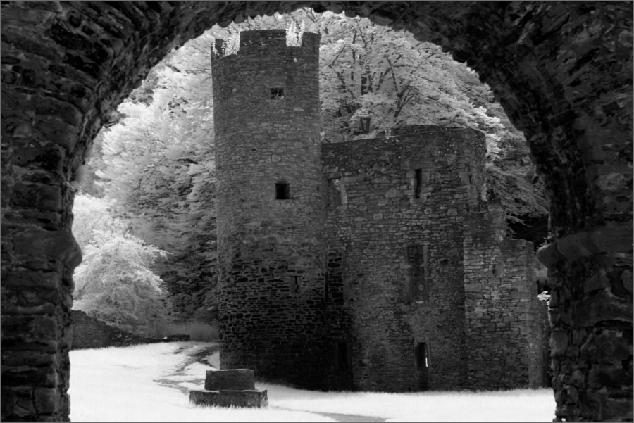 Burg Hardenstein (IR)