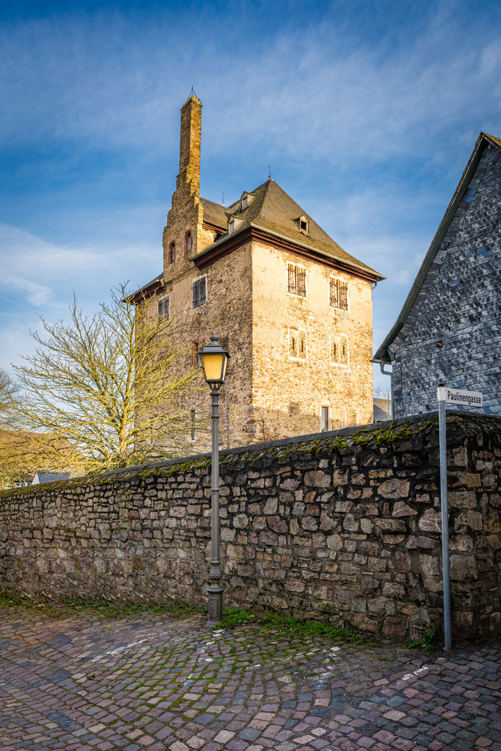 Burg Hattenheim 50