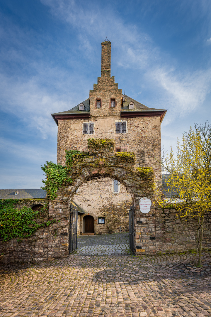 Burg Hattenheim 52