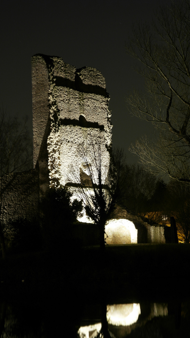 Burg Hayn