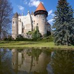 Burg Heidenreichstein