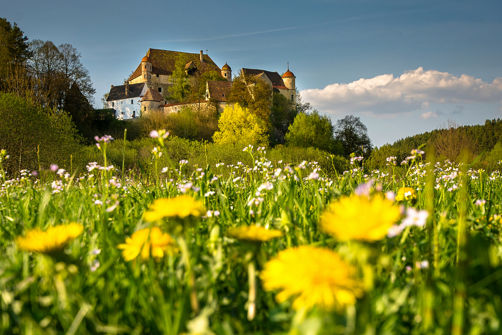 Burg Heimhof