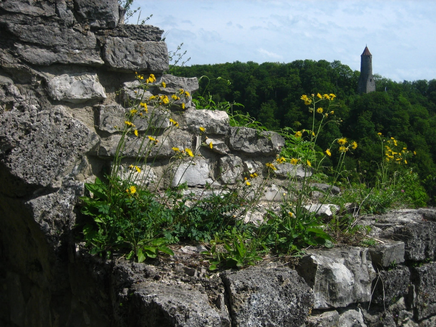 Burg Helfenstein