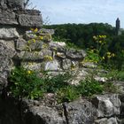 Burg Helfenstein