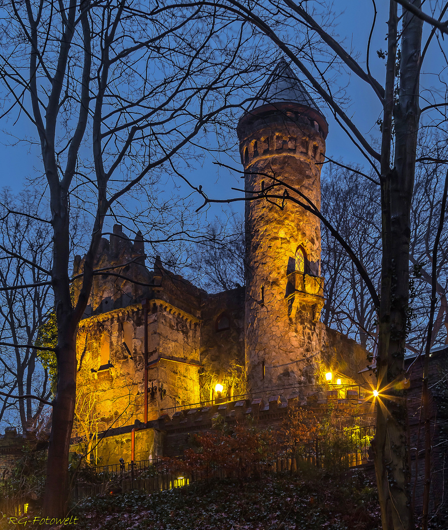 Burg Henneberg