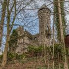 Burg Henneberg ( Hamburg )