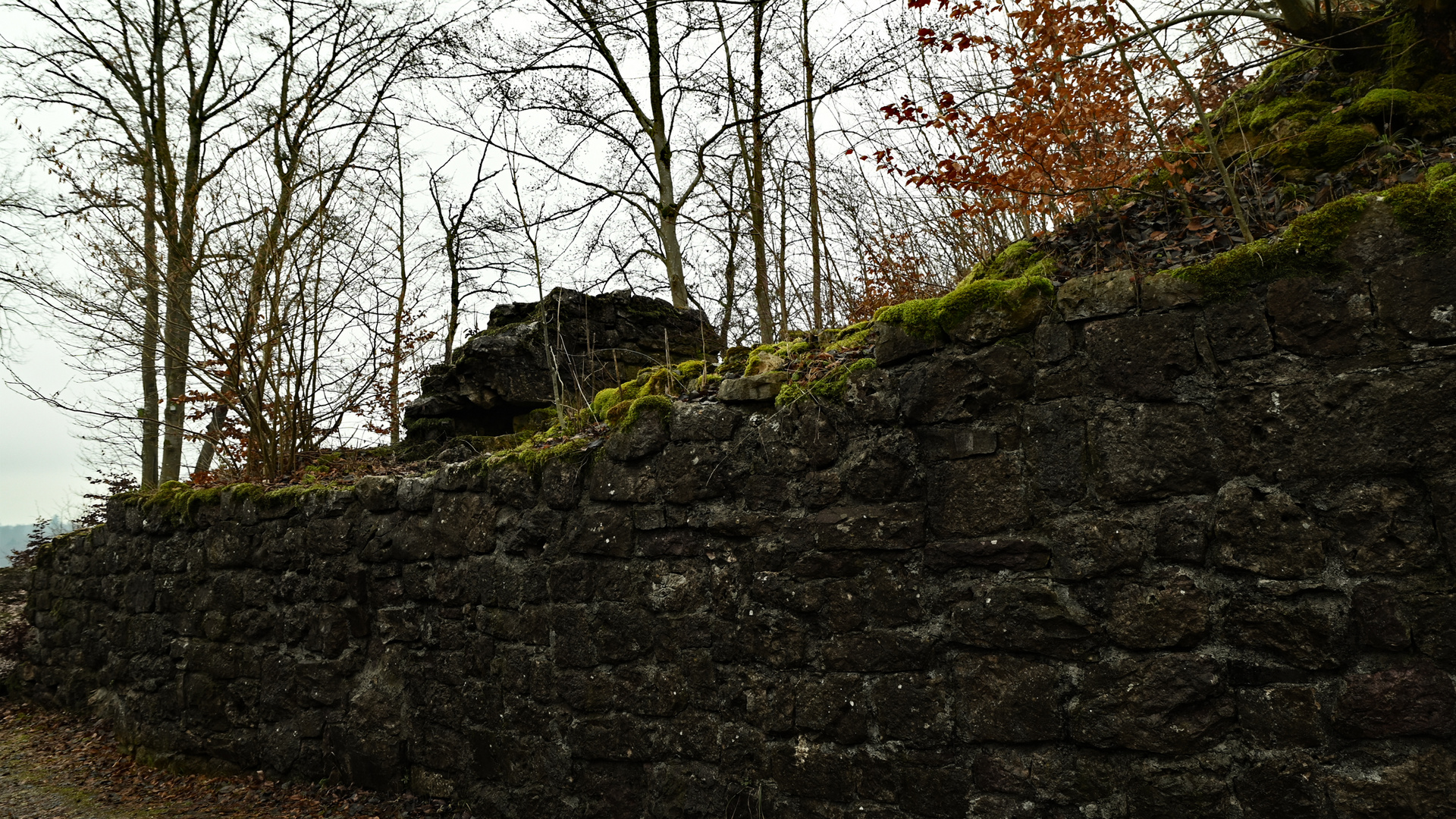 Burg Herwartstein - Le château fort de Herwartstein