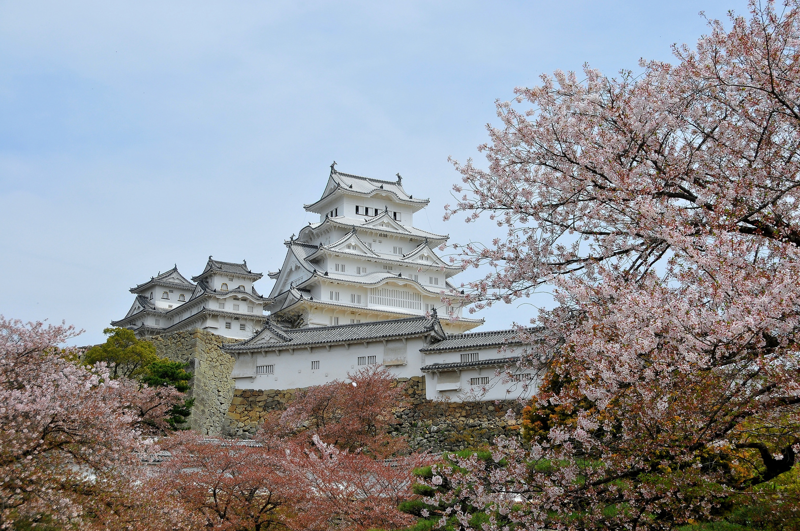 Burg Himeji zur Blütezeit