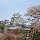 Burg Himeji zur Blütezeit