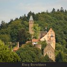 Burg Hirschhorn im Neckartal