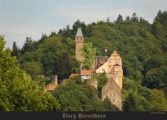 Burg Hirschhorn im Neckartal