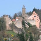 Burg Hirschhorn / Neckartal