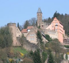 Burg Hirschhorn / Neckartal