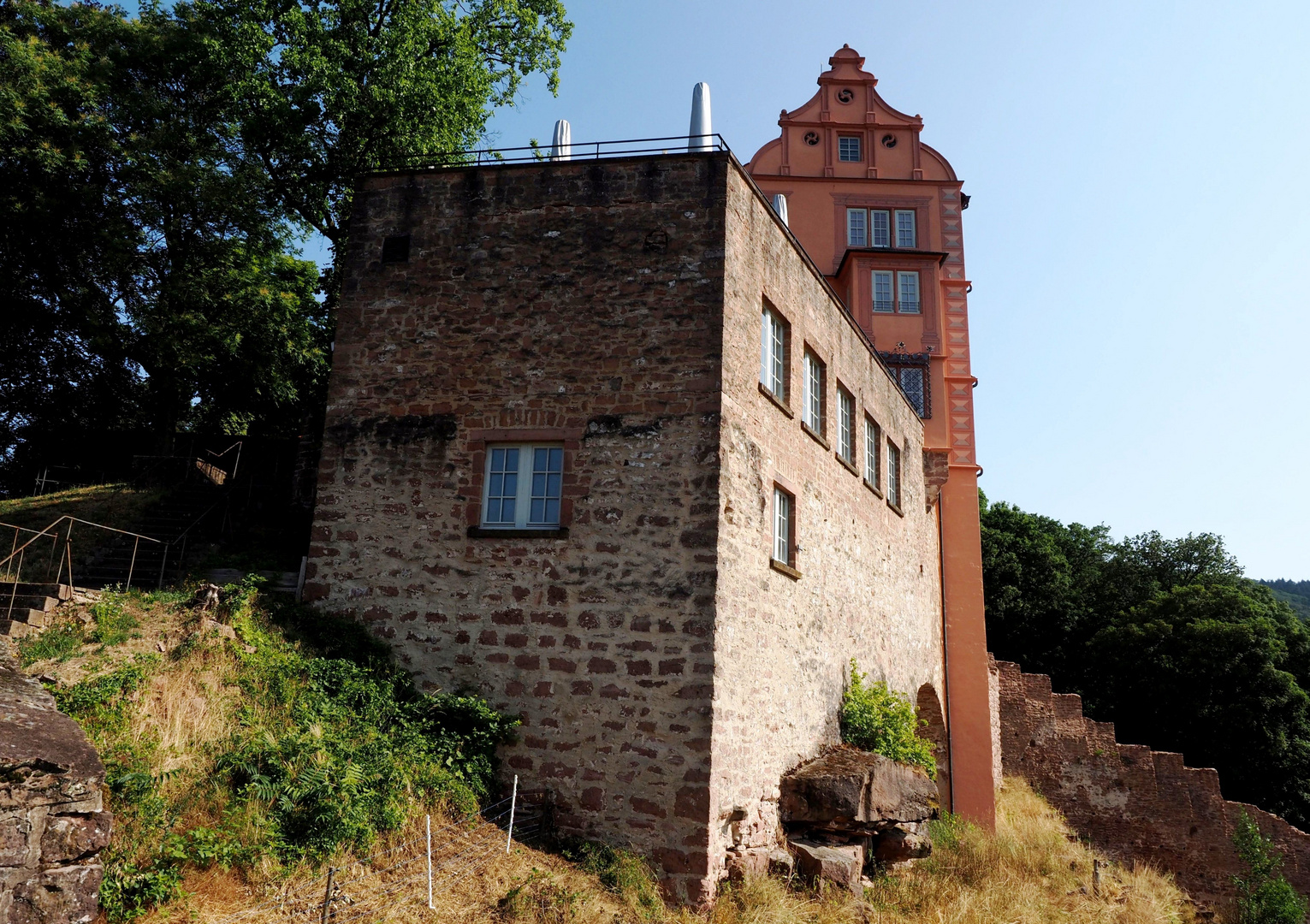 Burg Hirschhorn Seitenansicht