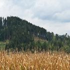 Burg Hochosterwitz in Kärnten