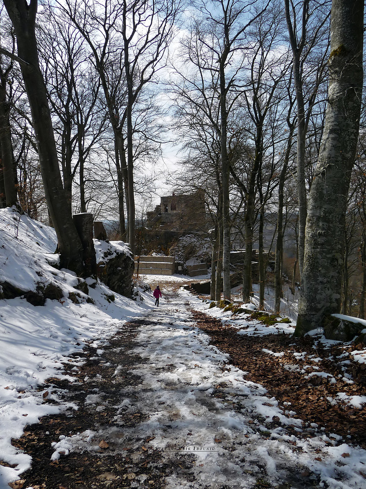 "Burg Hohen Gundelfingen"