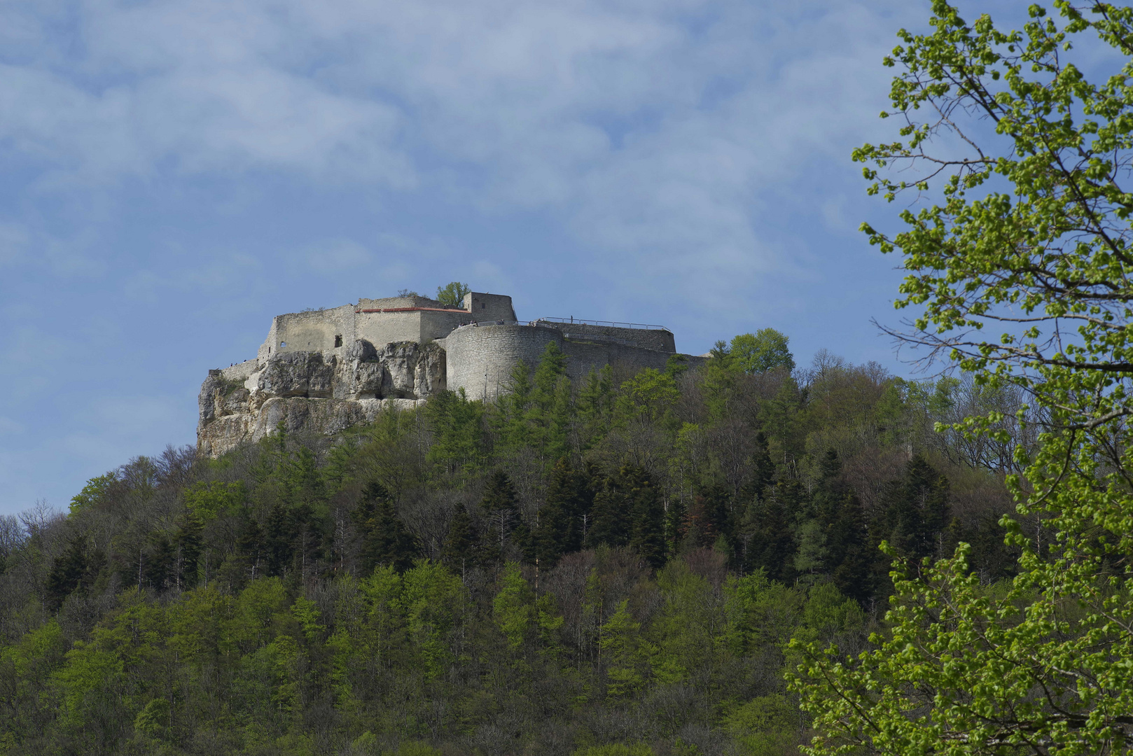 ..Burg Hohen Neuffen