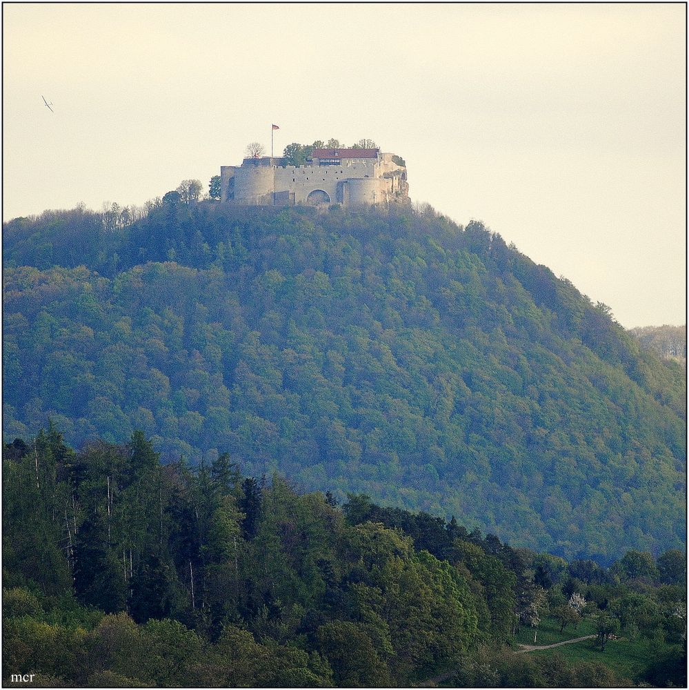 Burg HOHEN NEUFFEN