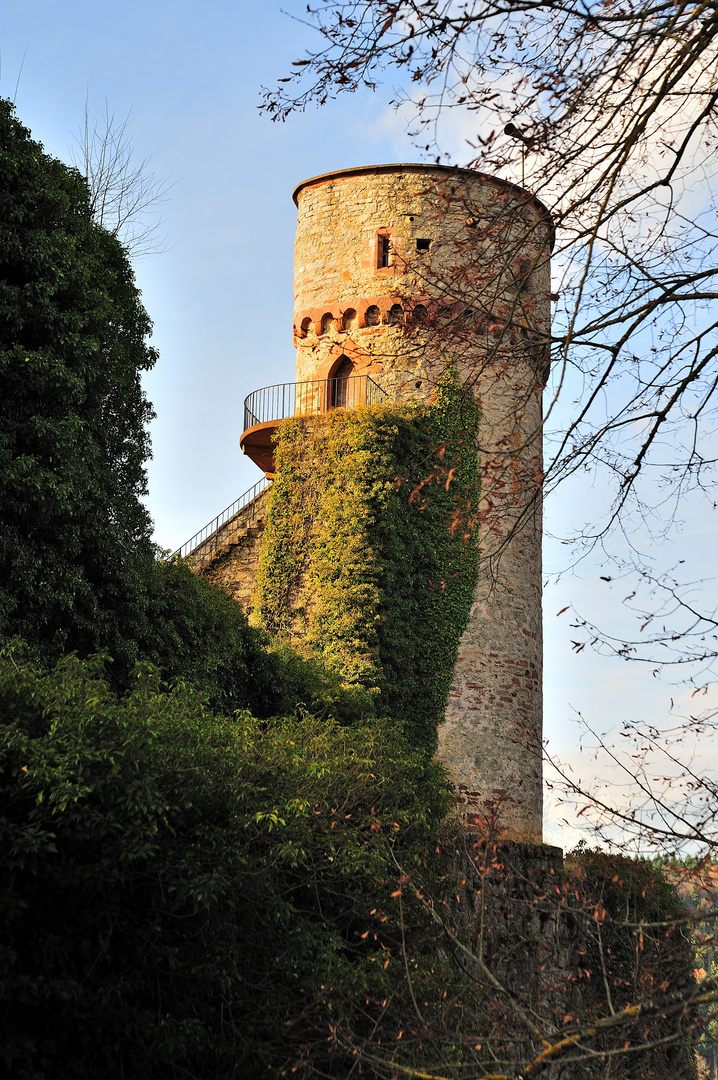 Burg Hohenagold II