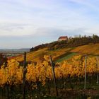 Burg Hoheneck