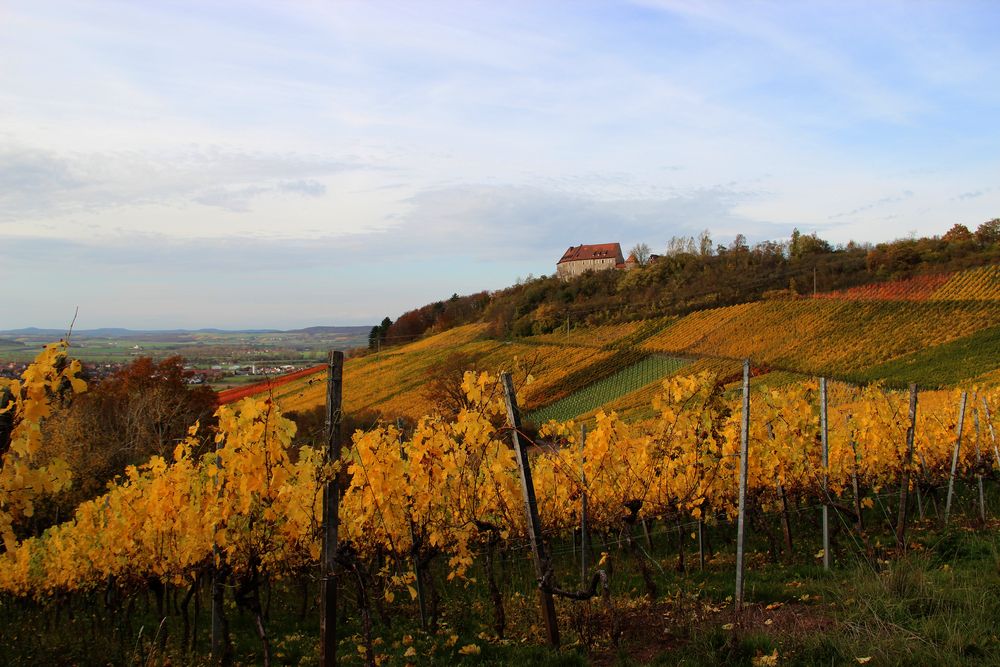 Burg Hoheneck