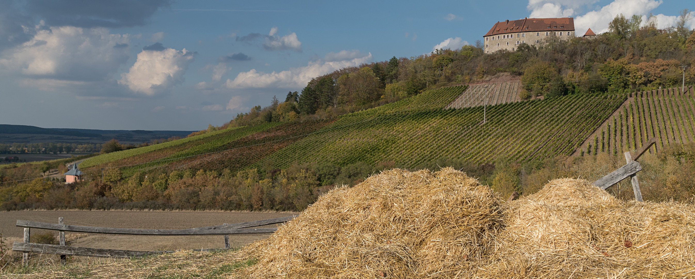 Burg Hoheneck