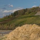 Burg Hoheneck