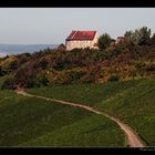 Burg Hoheneck