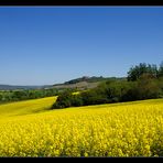 Burg Hoheneck I