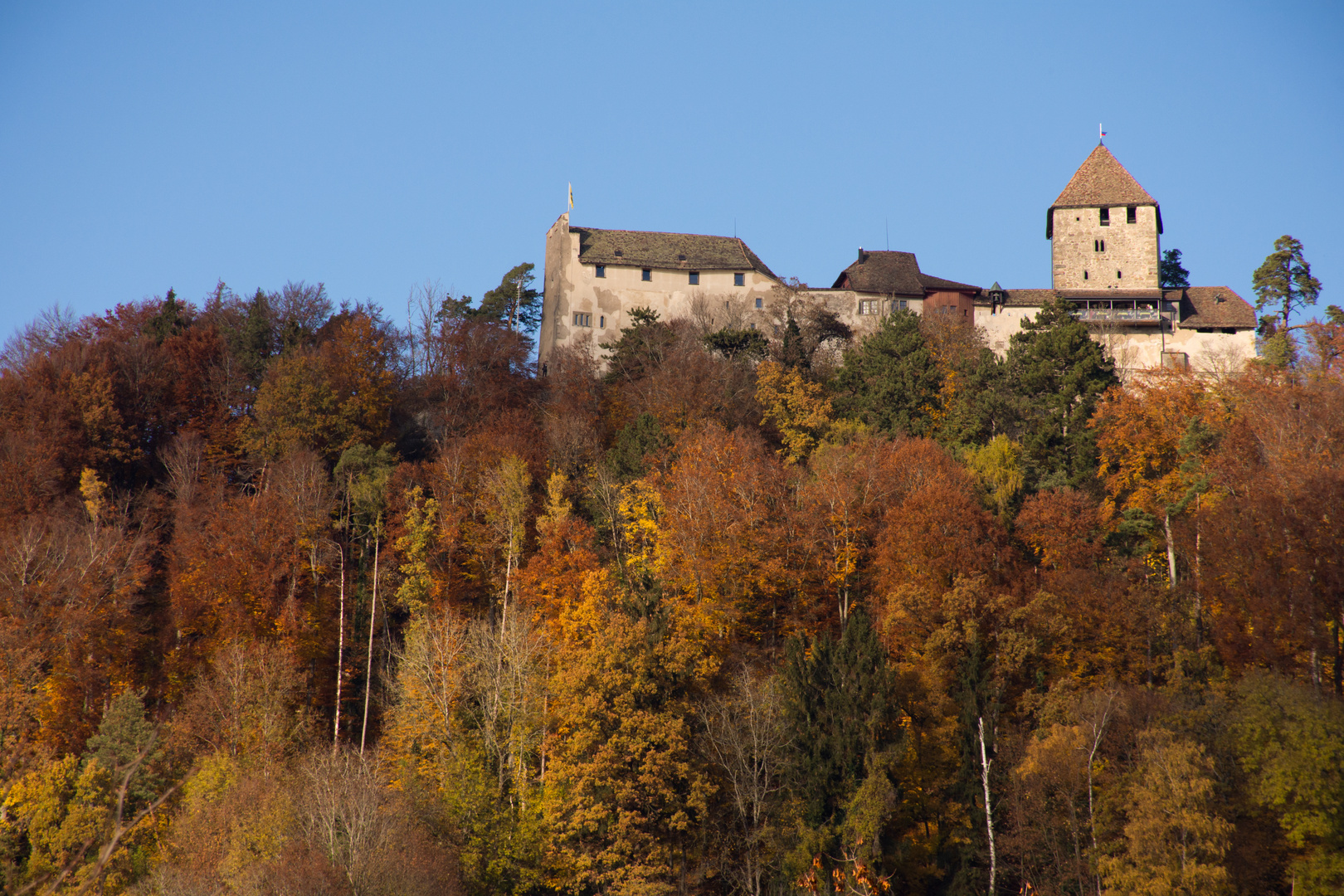  Burg Hohenklingen