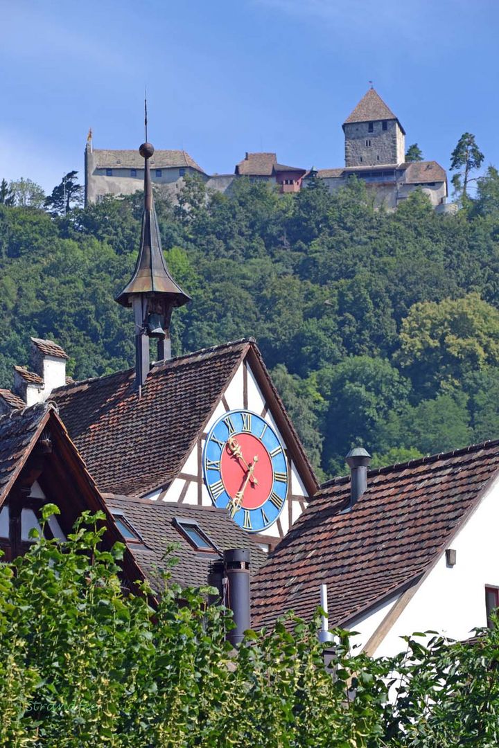 Burg Hohenklingen, Schweiz