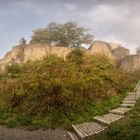 Burg Hohennagold 