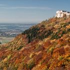 Burg Hohenneuffen