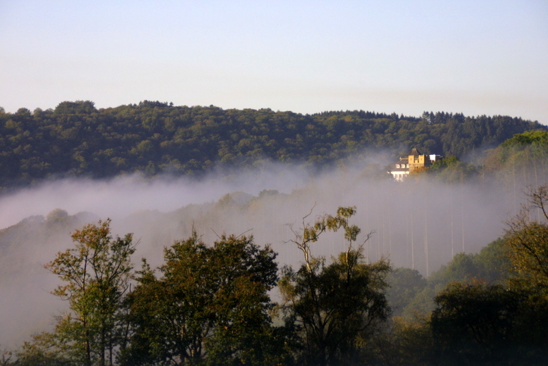 Burg Hohenscheid im Morgennebel