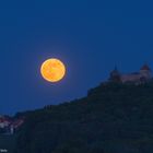 Burg Hohenstein