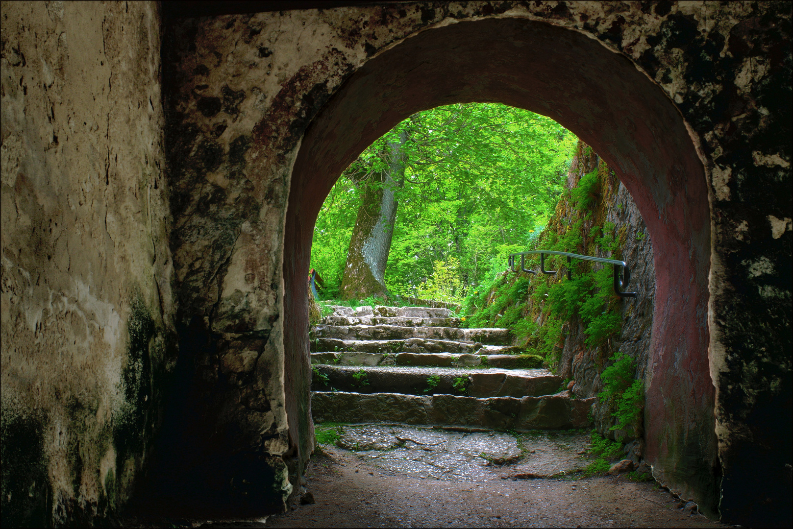 Burg Hohenstein (3)