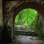 Burg Hohenstein (3)