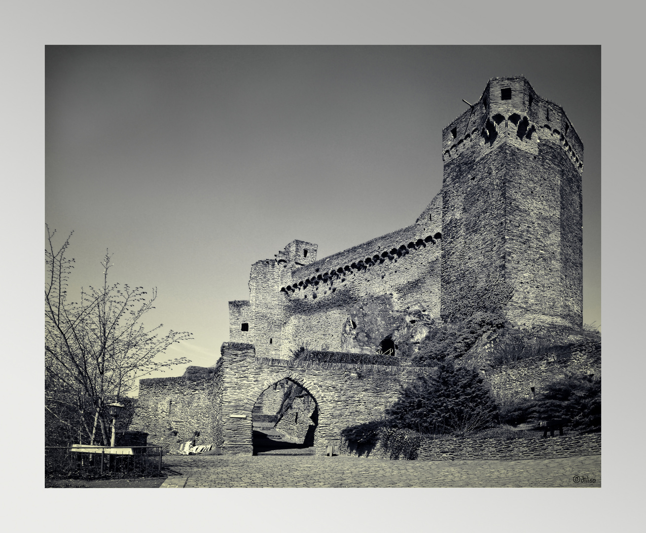 Burg Hohenstein