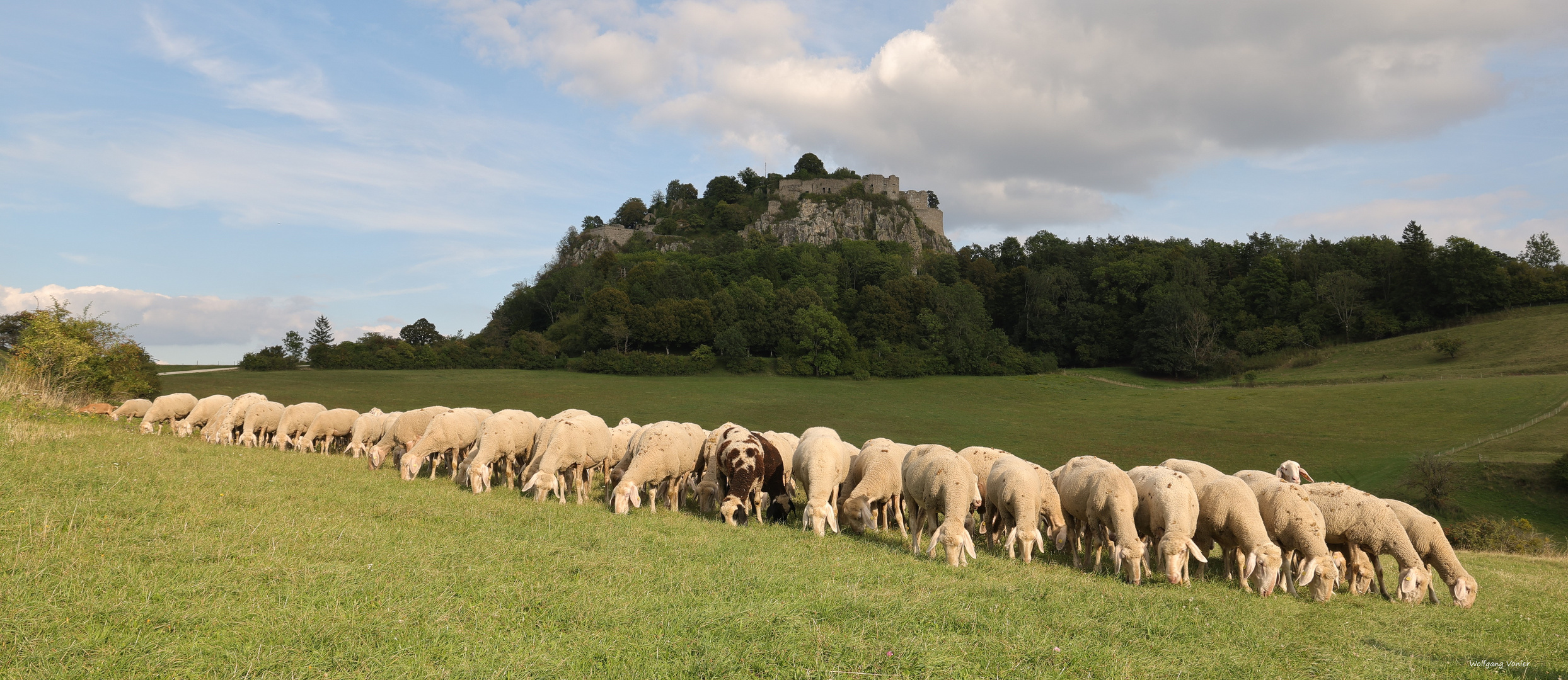 Burg Hohentwiel bei Singen