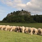 Burg Hohentwiel bei Singen