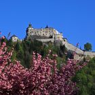 Burg Hohenwerfen