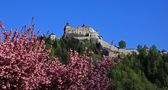 Burg Hohenwerfen von Christa Kramer 