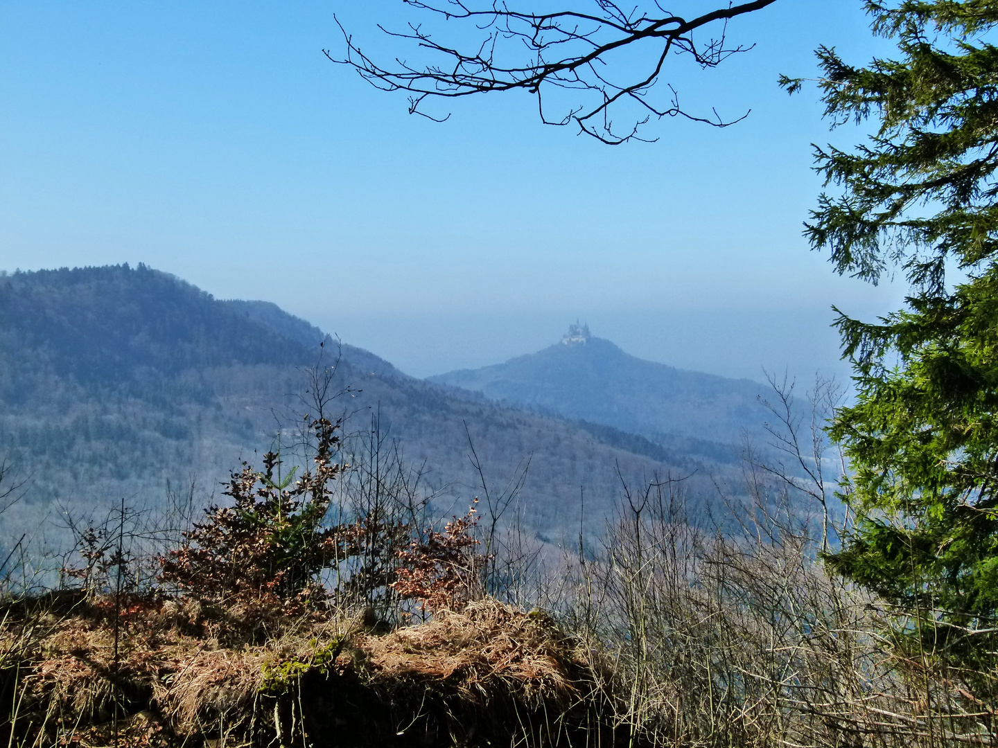 Burg Hohenzollern ( 14.03. 2012 )