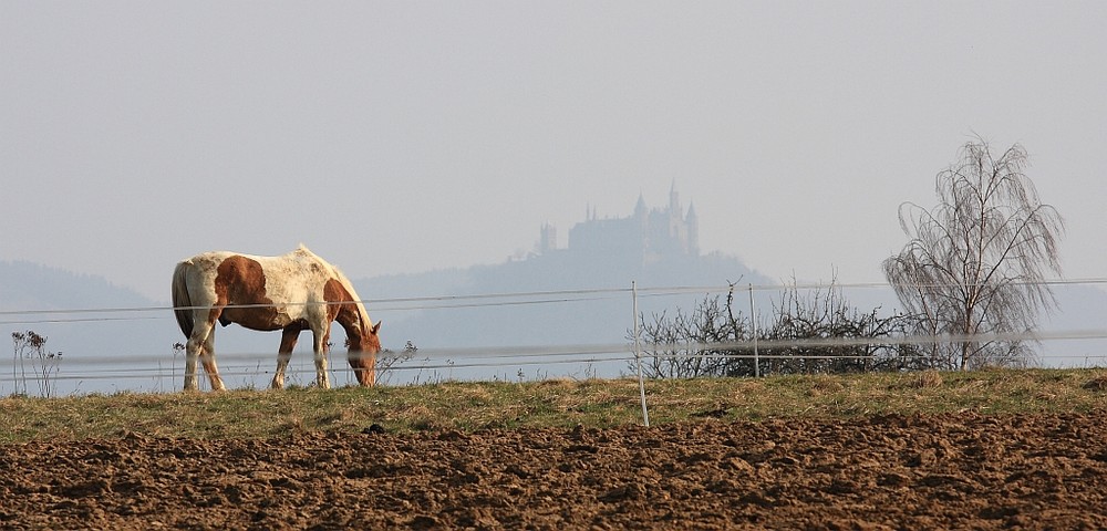 Burg Hohenzollern