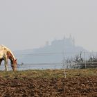 Burg Hohenzollern