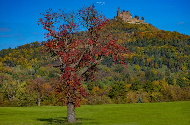 Burg Hohenzollern im Herbst 1