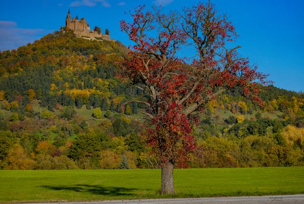 Burg Hohenzollern im Herbst 2