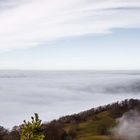 Burg Hohenzollern im Nebel am 30.11.2014 - Panorama