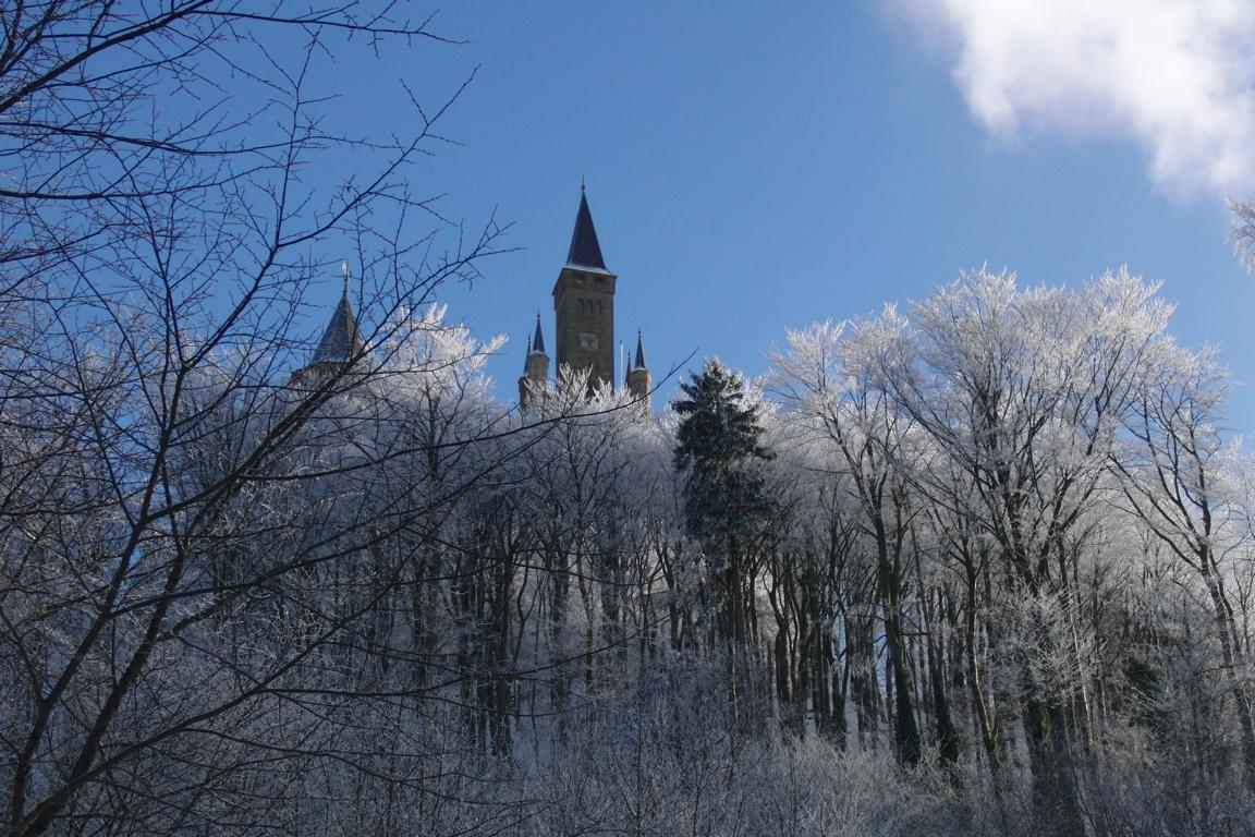 Burg Hohenzollern über den Wipfeln
