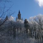 Burg Hohenzollern über den Wipfeln